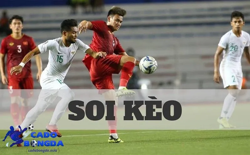 Hướng dẫn soi kèo bóng đá cho người chơi