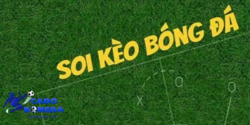 Tổng quan về soi kèo bóng đá